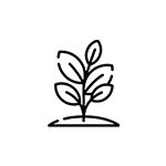 Plastique écologique